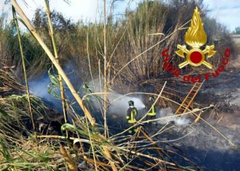 Olbia: incendi di vegetazione a Murta Maria e Cugnana, intervengono i vigili del fuoco