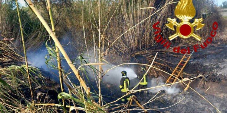 Olbia: incendi di vegetazione a Murta Maria e Cugnana, intervengono i vigili del fuoco