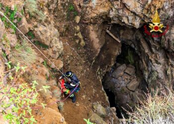 I vigli del fuoco di Carbonia hanno recuperato un cane da caccia finito in un dirupo sulle montagne di Nuxis