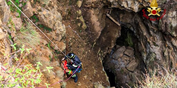 I vigli del fuoco di Carbonia hanno recuperato un cane da caccia finito in un dirupo sulle montagne di Nuxis