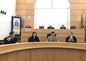 Il Consiglio comunale di Porto Torres ha approvato all’unanimità il programma di ripartizione di 4 milioni di euro per la manutenzione e la valorizzazione del patrimonio boschivo