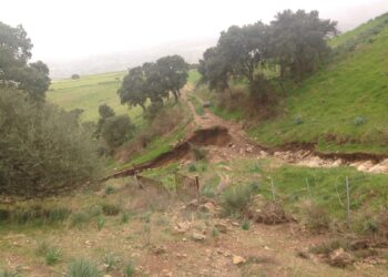 L’agenzia Laore ha pubblicato il bando da oltre 13 milioni di euro sugli indennizzi per l’alluvione 2020