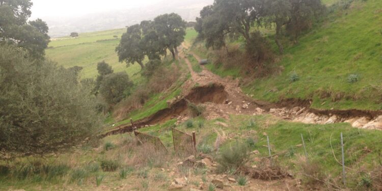 L’agenzia Laore ha pubblicato il bando da oltre 13 milioni di euro sugli indennizzi per l’alluvione 2020