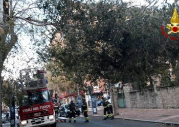 Interventi dei vigili del fuoco a Nuoro, Budoni, Siniscola, Orosei e Orune
