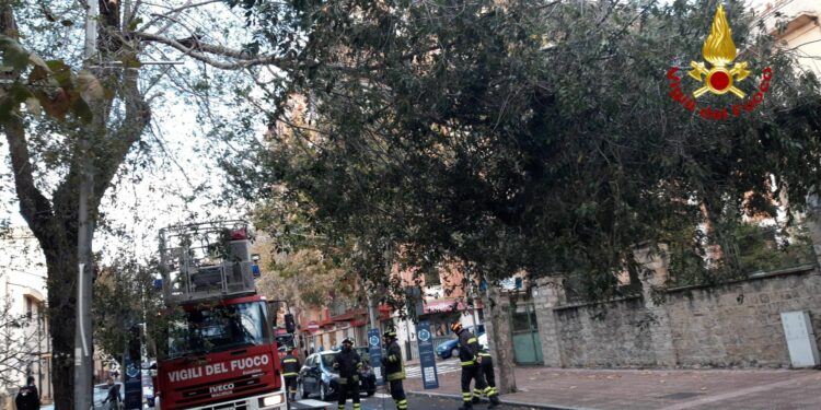 Interventi dei vigili del fuoco a Nuoro, Budoni, Siniscola, Orosei e Orune