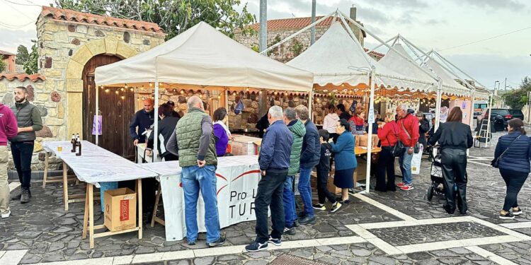 Il Festival dello Zafferano di Sardegna DOP a Turri, una prima giornata ricca di magia e tradizione