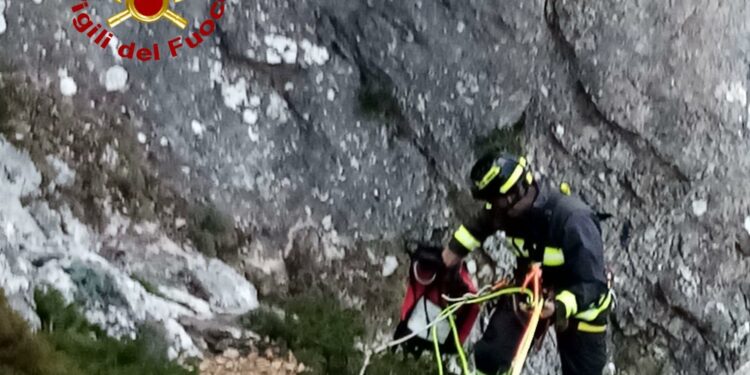 Oliena: due pecora bloccate in un dirupo in località “Tutturreris”