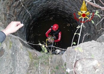 Siniscola: cane cade dentro un pozzo, salvato dai vigili del fuoco