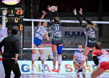 Hermaea superata al Geopalace da San Giovanni in Marignano