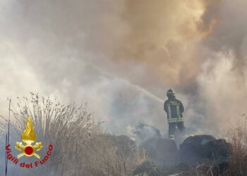 Olbia: a fuoco macchia mediterranea a Murta Maria, sul posto i vigili del fuoco