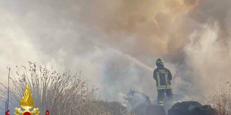 Olbia: a fuoco macchia mediterranea a Murta Maria, sul posto i vigili del fuoco