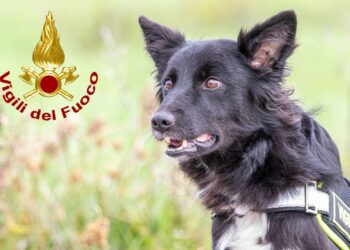 Calangianus: si perde cercando legna, ritrovato un 82enne