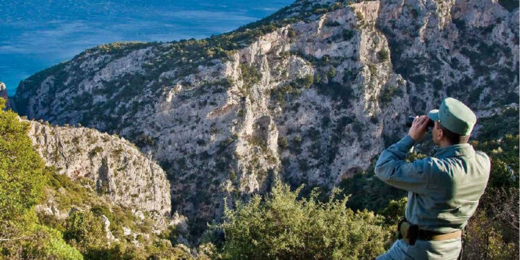 E’ stato presentato il calendario del Corpo forestale e di vigilanza ambientale della Regione Sardegna 2024