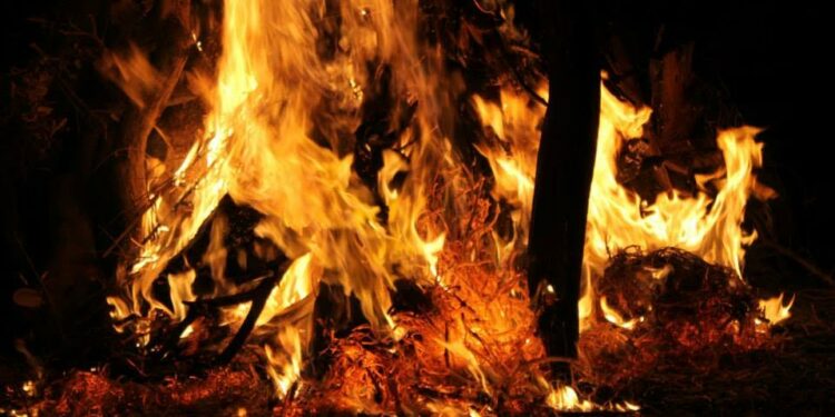 I falò ad Albagiara, Sini e Gonnosnò