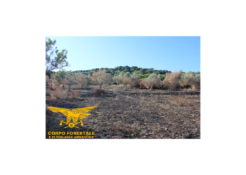 Mogoro: avviso di garanzia al presunto responsabile dell’incendio di Trioi