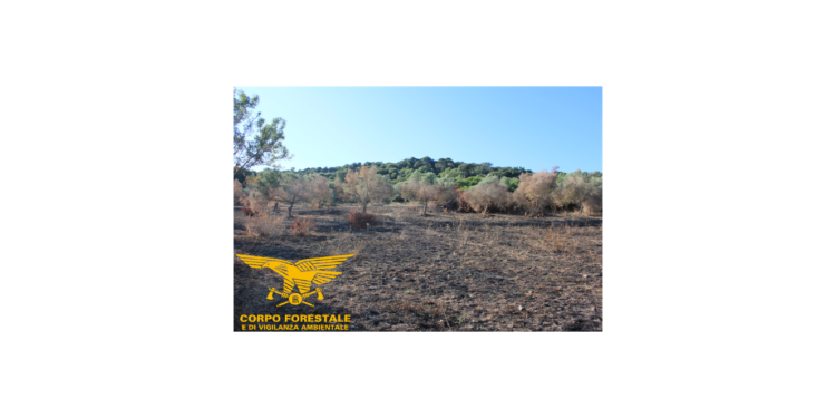 Mogoro: avviso di garanzia al presunto responsabile dell’incendio di Trioi