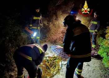 Sassari: 80enne si perde a Monte Bianchinu, lo ritrovano i vigili del fuoco