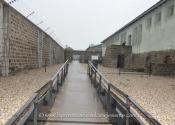 Il 27 gennaio 2024 ricorre il Giorno della Memoria, che commemora le vittime dell’Olocausto, tra le quali c’erano anche i testimoni di Geova