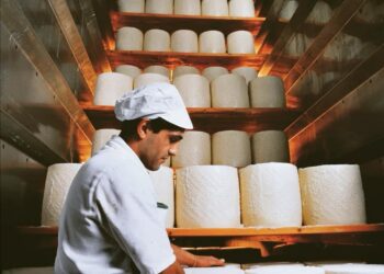 Facilitare l’accesso al credito per le aziende: arriva l’accordo tra UniCredit e Consorzio per la tutela del formaggio Pecorino Romano