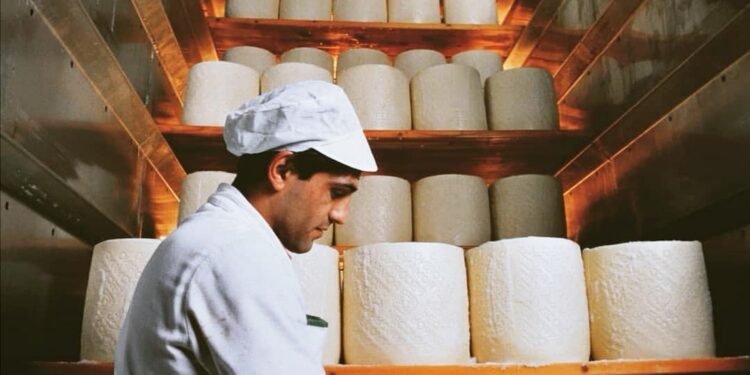 Facilitare l’accesso al credito per le aziende: arriva l’accordo tra UniCredit e Consorzio per la tutela del formaggio Pecorino Romano
