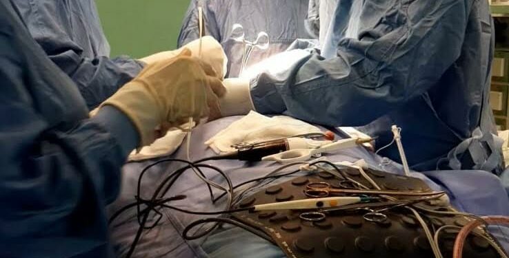 Gli otorini festeggiano San Biagio, al centro delle celebrazioni di quest’anno un convegno sui tumori del vestibolo nasale