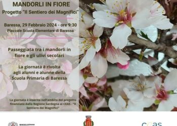 A Baressa una giornata dei mandorli in fiore