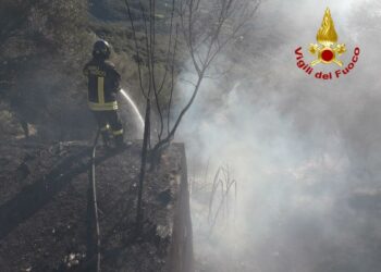 Baunei: incendio di macchia mediterranea a “Is scalittasa”, sul posto i vigili del fuoco e il Corpo forestale