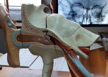 L’Aou di Sassari aderisce alla Giornata nazionale di sensibilizzazione sulle malattie dell’orecchio e alla Giornata mondiale dell’udito