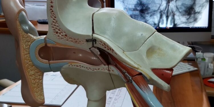 L’Aou di Sassari aderisce alla Giornata nazionale di sensibilizzazione sulle malattie dell’orecchio e alla Giornata mondiale dell’udito