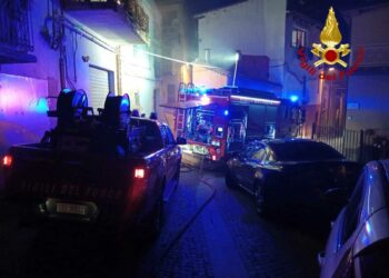 Interventi dei vigili del fuoco a Ilbono e Arzana