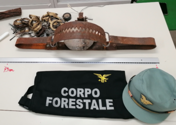 Non si ferma il contrasto al bracconaggio del Corpo forestale nel Sud Sardegna