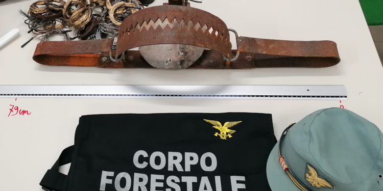 Non si ferma il contrasto al bracconaggio del Corpo forestale nel Sud Sardegna