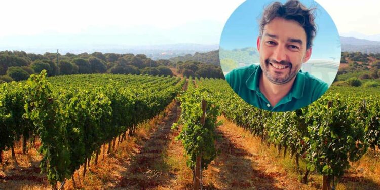 L’enologo Andrea Pala: “Il Vermentino di Gallura è il re dei vini dell’estate 2023»