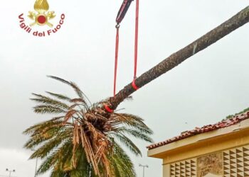 Cade una palma sul tetto dell’oratorio ad Arborea
