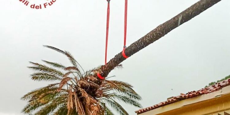 Cade una palma sul tetto dell’oratorio ad Arborea