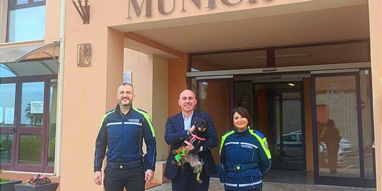 “Adotta un cane”: l’iniziativa del comune di Tissi
