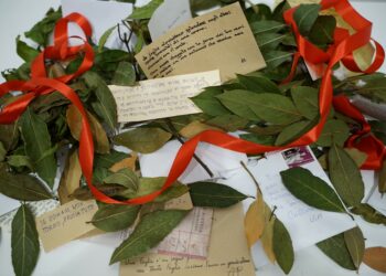 A call for leaves: al MUACC un’installazione dedicata alle donne vittime di violenza