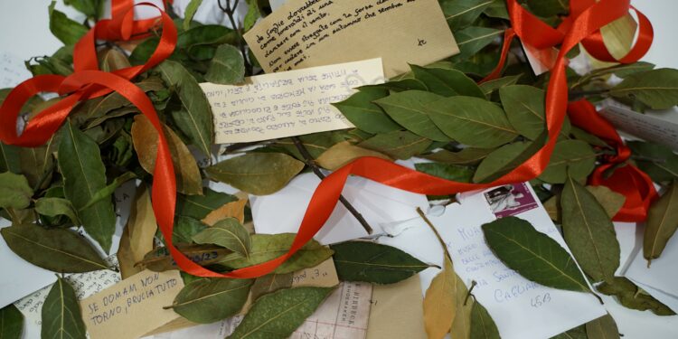 A call for leaves: al MUACC un’installazione dedicata alle donne vittime di violenza