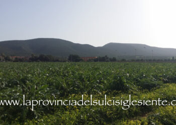 Uri: due giorni dedicati al carciofo spinoso Dop