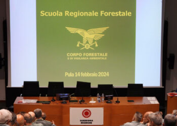 Il 20 marzo scorso si è conclusa un’iniziativa formativa della Direzione Generale del Corpo forestale in sinergia con la Procura Generale presso la Corte d’Appello di Cagliari.