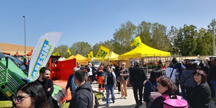 Arborea: successo per la Fiera dell’Agricoltura