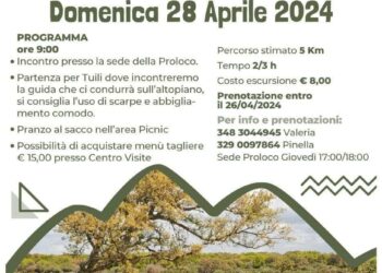 Fine settimana in Marmilla: appuntamenti a Sini, Nureci e Baressa