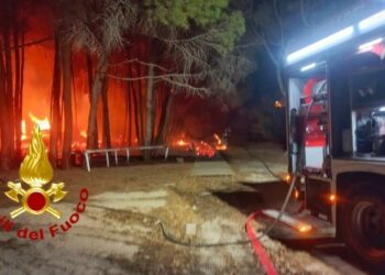 Siniscola: incendio nella pineta di Capo Comino