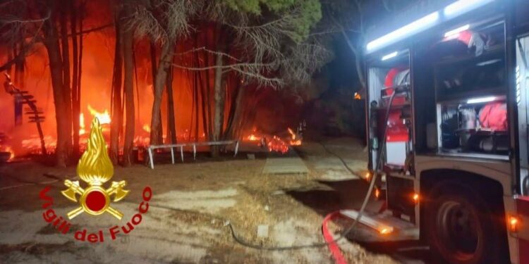 Siniscola: incendio nella pineta di Capo Comino