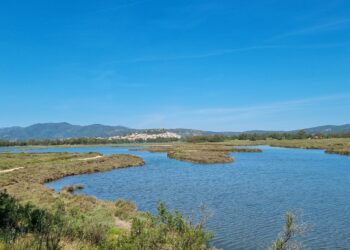 Foreste aperte nel Parco di Tepilora