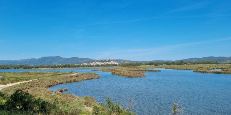 Foreste aperte nel Parco di Tepilora