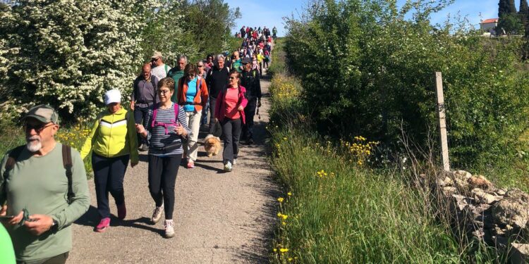 Fine settimana in Marmilla: eventi a Villa Sant’Antonio, Baradili e Albagiara