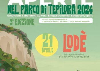 Foreste aperte nel Parco di Tepilora