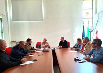 Unione dei Comuni del Coros: incontro a Ossi sul tema del randagismo