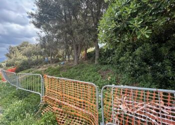 Castelsardo: un’area attrezzata per animali domestici in via Sedini